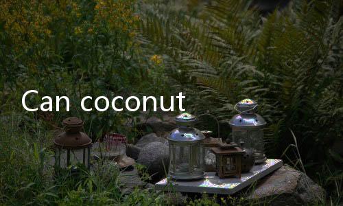 【Indian Casino Sites for iPhone】Can coconut meat be eaten if it has been stored in the refrigerator for 5 days?