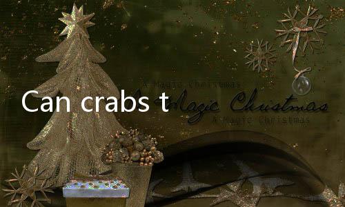 【Live Poker Games India】Can crabs that spit bubbles still be eaten?