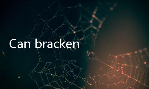 【Indian Online Slots】Can bracken be eaten after being soaked for two days?